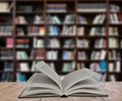 Papildomai mokau lietuvių kalbos